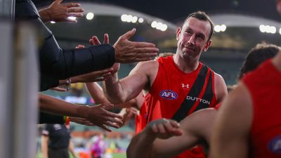 Essendon ruck Goldstein could extend AFL career: coach