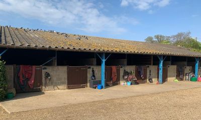 Country diary: Spring can be a dangerous time for horse health