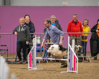 ‘At the lowest point, I lose the dog altogether’: my disastrous debut at a dog agility competition