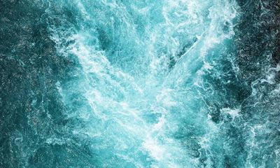 Is a River Alive? by Robert Macfarlane review – streams of consciousness