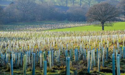 London councils yet to spend £130m in local climate funds