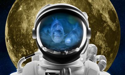 Sea bass in space: why fish farms on the moon may be closer than you think