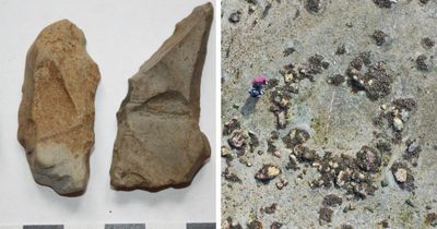Archaeologists find evidence of 'some of earliest humans in Scotland' in island dig