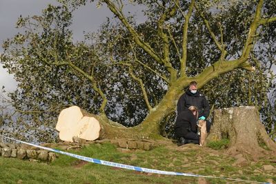 Jury selection begins in Sycamore Gap trial