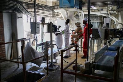 Grain Millers Recalls 63,000 Pounds of Oats Due to Plastic Risk, FDA Says