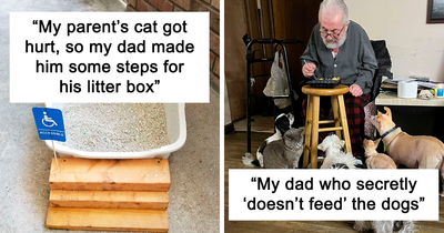 43 Funny And Wholesome Dads Who Nailed Fatherhood