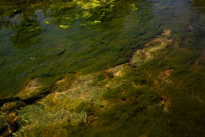 In Booming Central Texas, Wastewater Is Polluting Rivers and Streams