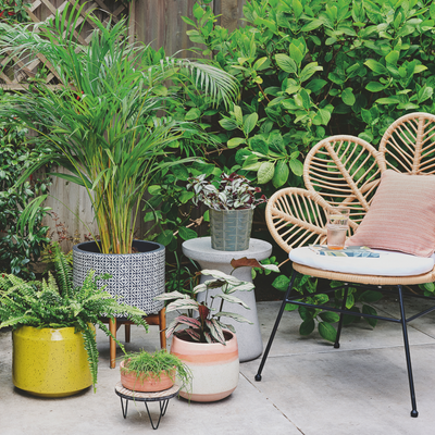 3 ways to use plants to Feng Shui your patio for calming outdoor space - and the blooms the experts swear by to achieve this