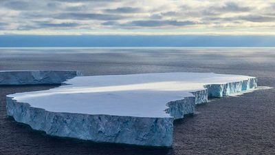 City-sized icebergs drifted by UK, scientists find. What can they tell us about Antarctica’s future?