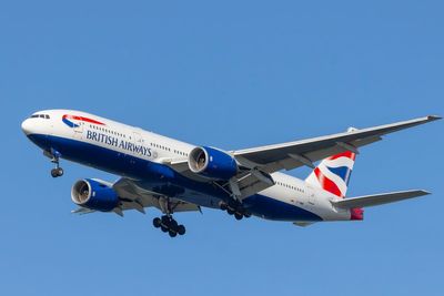 British Airways flight forced to divert after bird strike causes fumes in cabin