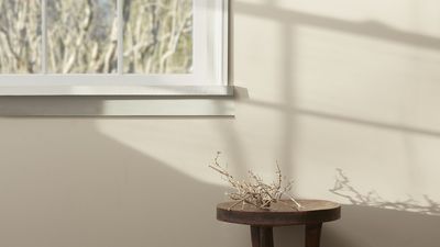 Is Benjamin Moore's Natural Linen the perfect beige paint? We explore why this neutral shade is a 'safe choice but a good one'