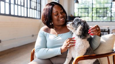12 best therapy dog breeds