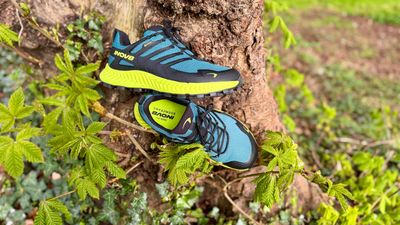 Inov8 Roclite GTX Hiking Shoe review: top trekkers for comfort, agility and protection