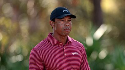 Tiger Woods Drops To New Ranking Low