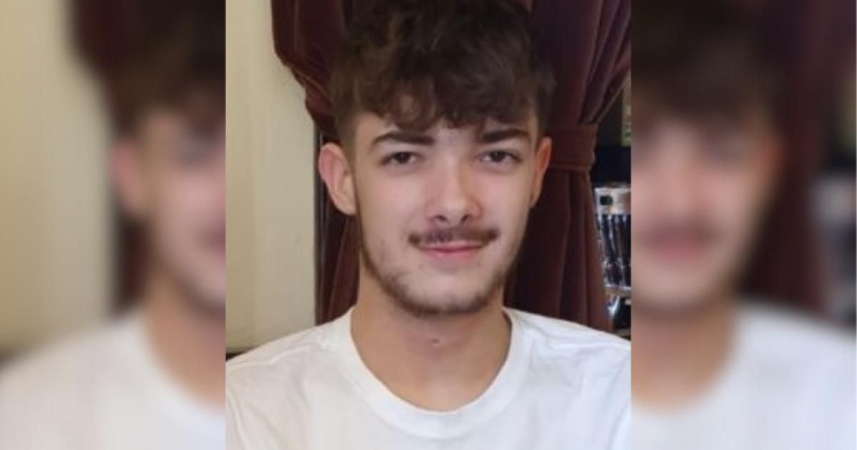 Teen pedestrian who died after being hit by car named…