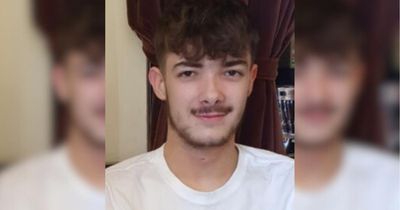 Teen pedestrian who died after being hit by car named by police