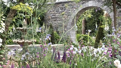 Peat-free compost choices – how to get the best results in your yard without damaging the planet