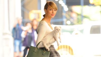 The lowdown on Taylor Swift’s cats, including their net worth and what our vet wants to you know about each breed