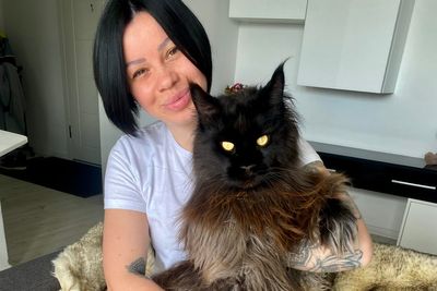Zeus the ‘majestic’ 13kg house cat is as tall as a toddler – and social media can’t get enough