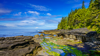 Popular Juan de Fuca hiking trail is closed for the summer - here's where to trek instead