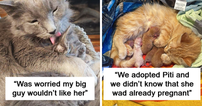 99 Adoption Pics From April That May Turn Those Blues Away For Just A Second