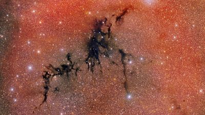 Scientists spot a 'dark nebula' being torn apart by rowdy infant stars — offering clues about our own solar system's past