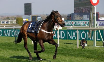 Constitution Hill ready to burst through last-chance saloon doors at Punchestown