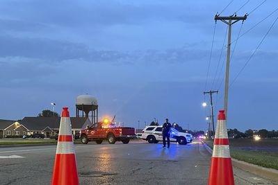 Four dead after car crashes into after-school camp in US state of Illinois
