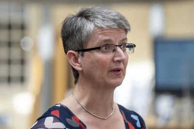 Greens’ Maggie Chapman survives committee vote after gender ruling remark