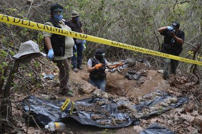 Volunteer Groups in Mexico Keep Uncovering Human Remains in Clandestine Graves