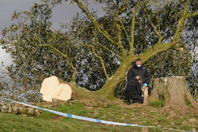Friends filmed themselves chopping down Sycamore Gap tree before ‘revelling’ in their infamy, jury told