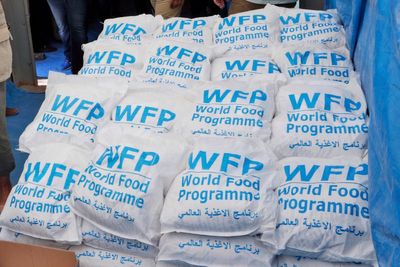 World Food Program and other UN aid agencies slash jobs amid US funding cuts, officials say
