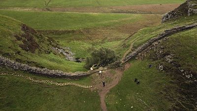 Sycamore Gap tree felling was a 'deliberate and mindless' act, UK prosecutor says