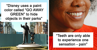 ‘Today I Learned’: 33 Interesting Things People Didn’t Learn At School (New Pics)