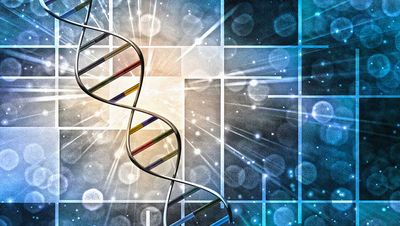 BridgeBio Breaks Out After Pfizer-Rivaling Heart Drug Obliterates Sales Expectations