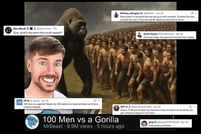 MrBeast Seeks 100 Volunteers to Fight a Gorilla, Gets Thousands Instead: 'This Is Why Men Don't Live as Long'
