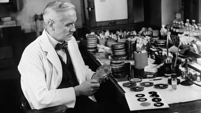 'How could it have been allowed to happen?': The threat of 'superbugs' was known from the first antibiotic, but we've failed to stop it.