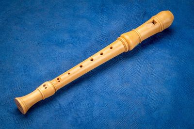 Only one in six children learning recorder after drop in popularity over decade