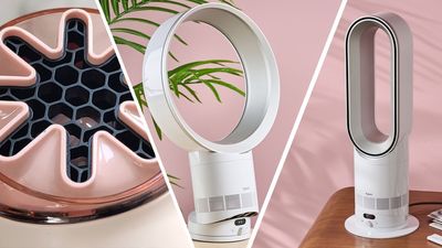 Help! All the Dyson fans look exactly the same — which one should I buy?