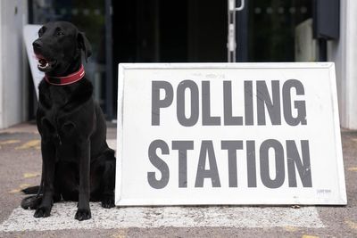 Estimated declaration times for May 1 local and mayoral elections