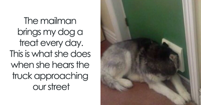 86 Wholesome Memes To Send To Your Favorite People