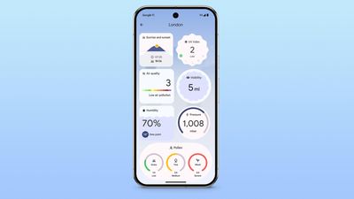 The Pixel Weather app is getting a pollen tracker in the US