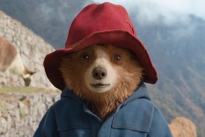 How Paddington became totally unbearable