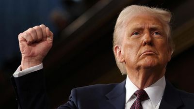 Trump's first 100 days: Grassroots pick up Democratic slack as 'chaos' unfolds