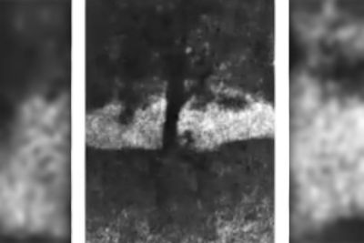 Sycamore Gap trial shown video footage of ‘tree being chopped down’