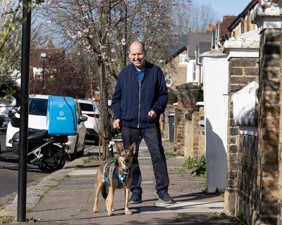 ‘When she first gave me her paw, my heart melted’: here’s what I’ve learned about taking on a rescue dog