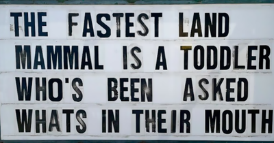 44 Funny Signs By The Legendary Tex-Mex Restaurant, El Arroyo (New Pics)