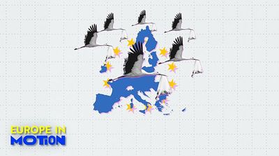 This is the EU country where babies born to migrants outnumbered local newborns