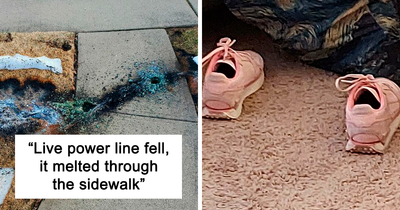 This Online Group Is Dedicated To “Mildly Interesting” Stuff, And Here Are Their 47 Best Posts (New Pics)