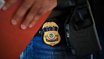 ICE detains Irish woman residing in US over decades-old expunged conviction